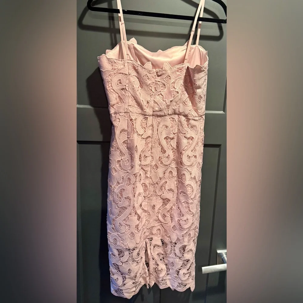 Bardot Lina Blush Lace Midi Dress - Picture 7 of 9